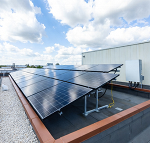 The Smart Buyer's Guide to Choosing a Solar Manufacturer